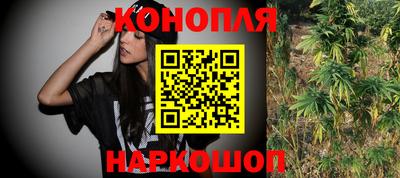 сатива Шелехов