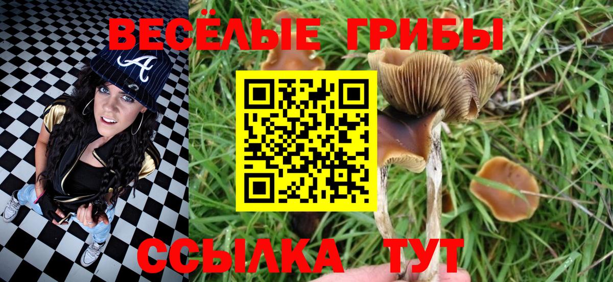 Галлюциногенные грибы прущие грибы Лыткарино
