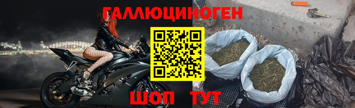 Галлюциногенные грибы Psilocybine cubensis  Вход с VPN  Лыткарино 